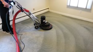Carpet cleaning IBX Services