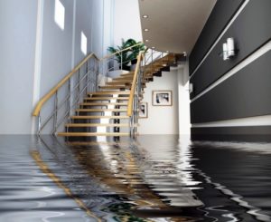 How fast should you deal with water damage?