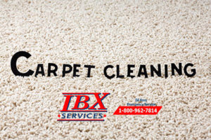 Carpet Cleaning Service