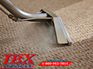 Carpet Cleaning Service