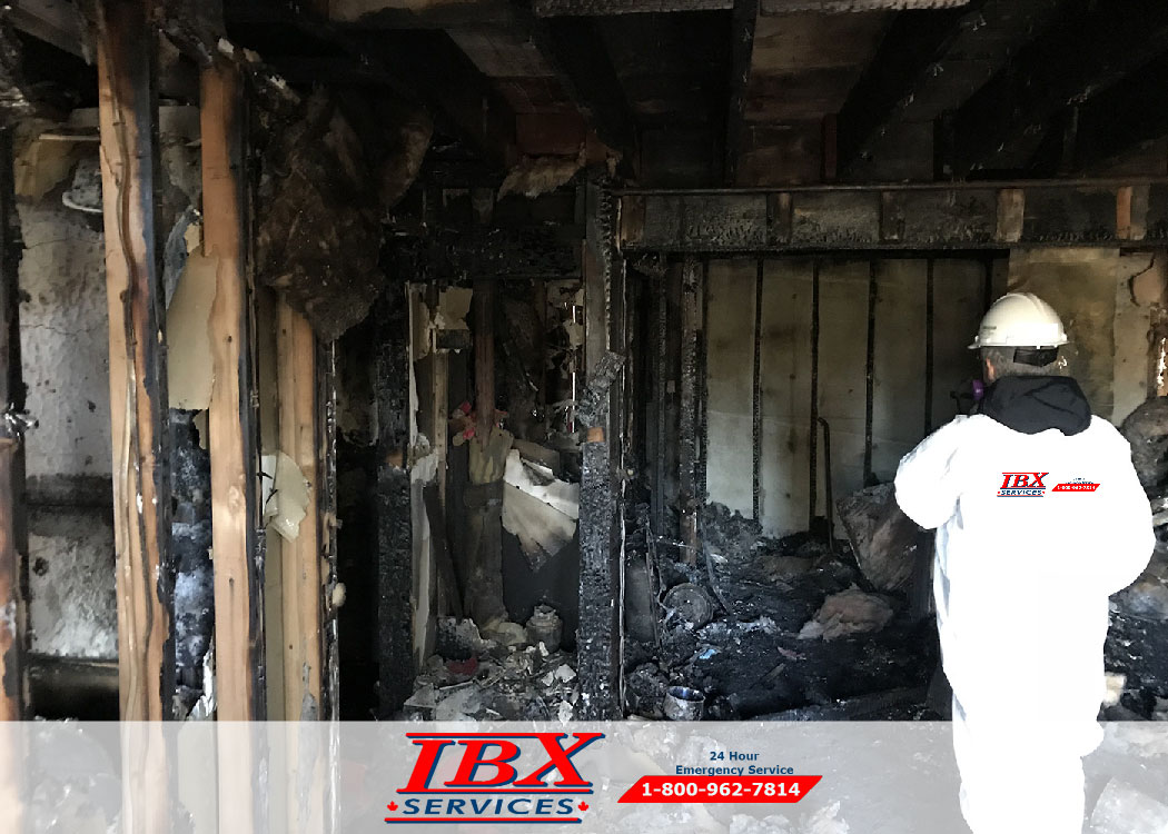 Fire Damage Cleanup – Some Steps