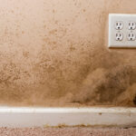 What-are-the-Symptoms-of-Mold-and-Mildew-Exposure