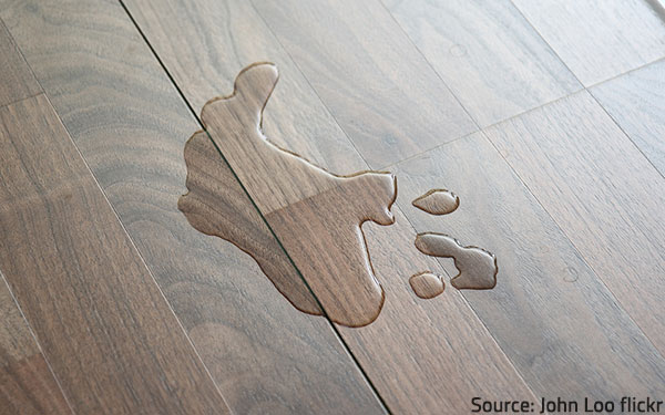 How To Fix Water Damaged Wood Floor, Replace Water Damaged Hardwood Floor