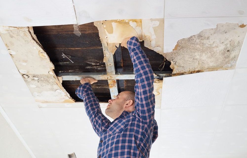 Restorating Water Damage in a Commercial Space